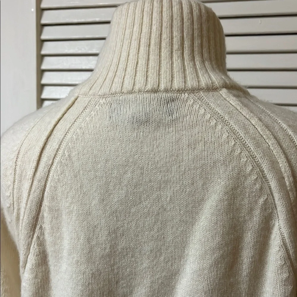 Banana republic men’s Cream Button-Up Turtleneck Sweater